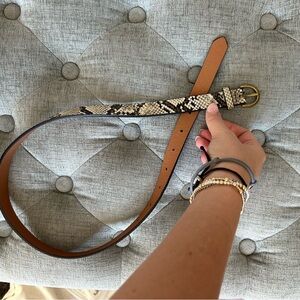 American Eagle Outfitters Snakeskin Belt with Gold Buckle